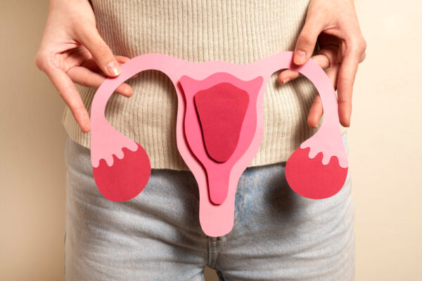Model din hârtie al uterului ținut în mâini